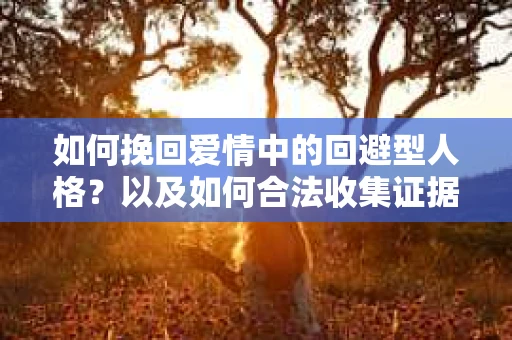 如何挽回爱情中的回避型人格？以及如何合法收集证据？