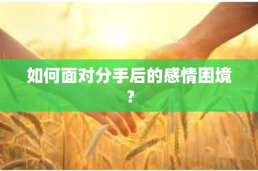如何面对分手后的感情困境？