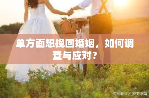 单方面想挽回婚姻，如何调查与应对？