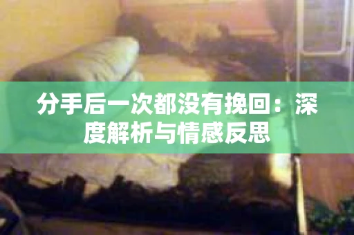 分手后一次都没有挽回：深度解析与情感反思