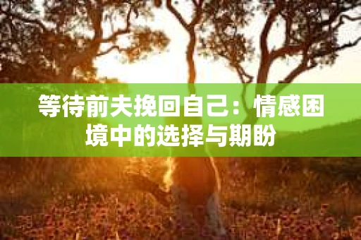 等待前夫挽回自己：情感困境中的选择与期盼