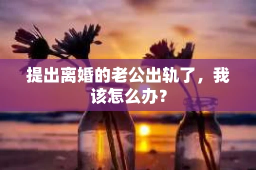 提出离婚的老公出轨了，我该怎么办？