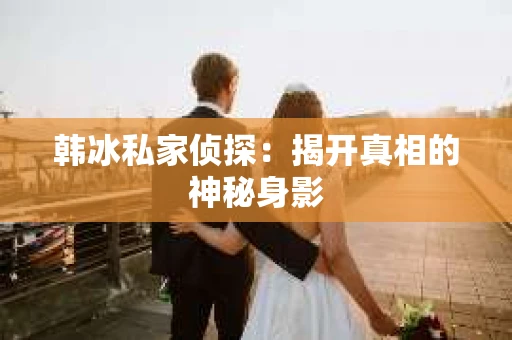 韩冰私家侦探：揭开真相的神秘身影