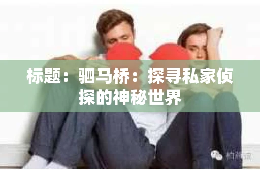 标题：驷马桥：探寻私家侦探的神秘世界