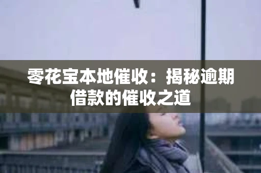 零花宝本地催收：揭秘逾期借款的催收之道
