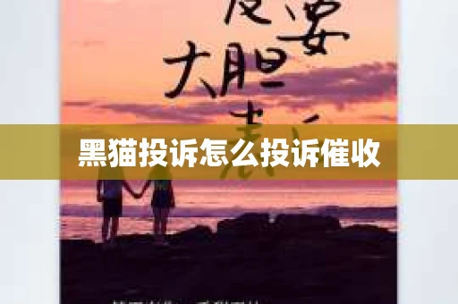 黑猫投诉怎么投诉催收