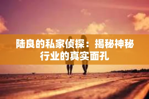 陆良的私家侦探：揭秘神秘行业的真实面孔