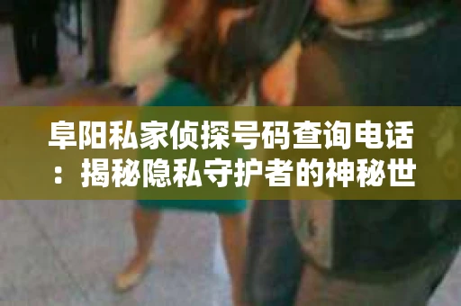 阜阳私家侦探号码查询电话：揭秘隐私守护者的神秘世界