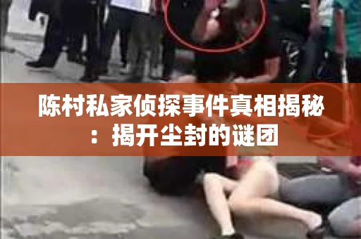 陈村私家侦探事件真相揭秘：揭开尘封的谜团