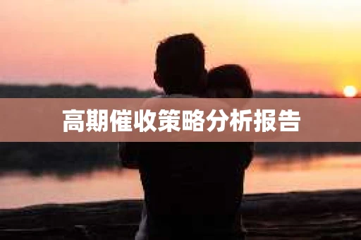 高期催收策略分析报告