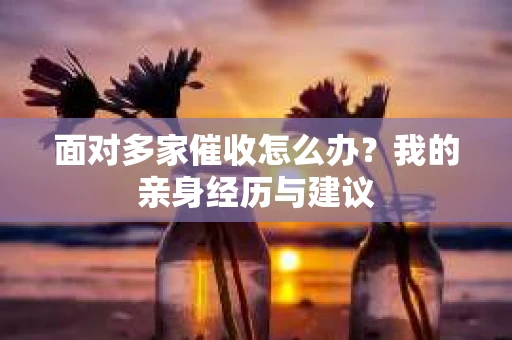 面对多家催收怎么办？我的亲身经历与建议