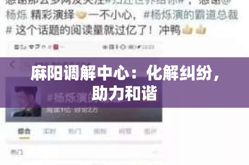 麻阳调解中心：化解纠纷，助力和谐