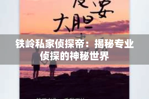 铁岭私家侦探帝：揭秘专业侦探的神秘世界