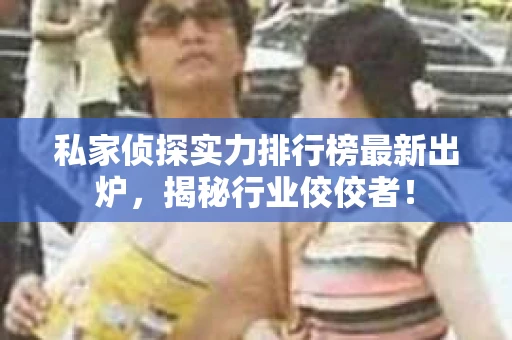 私家侦探实力排行榜最新出炉，揭秘行业佼佼者！