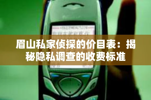 眉山私家侦探的价目表：揭秘隐私调查的收费标准