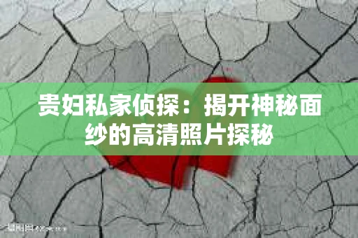 贵妇私家侦探：揭开神秘面纱的高清照片探秘