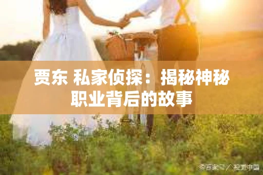 贾东 私家侦探：揭秘神秘职业背后的故事