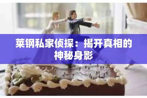 莱钢私家侦探：揭开真相的神秘身影