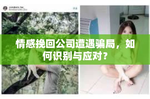 情感挽回公司遭遇骗局，如何识别与应对？