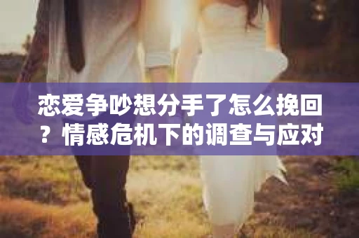 恋爱争吵想分手了怎么挽回？情感危机下的调查与应对策略